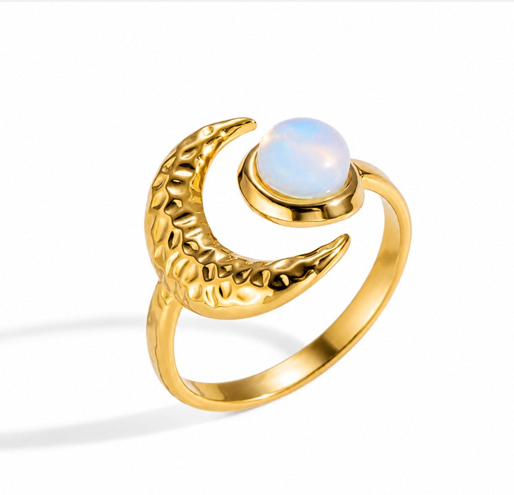 Arlo Ring
