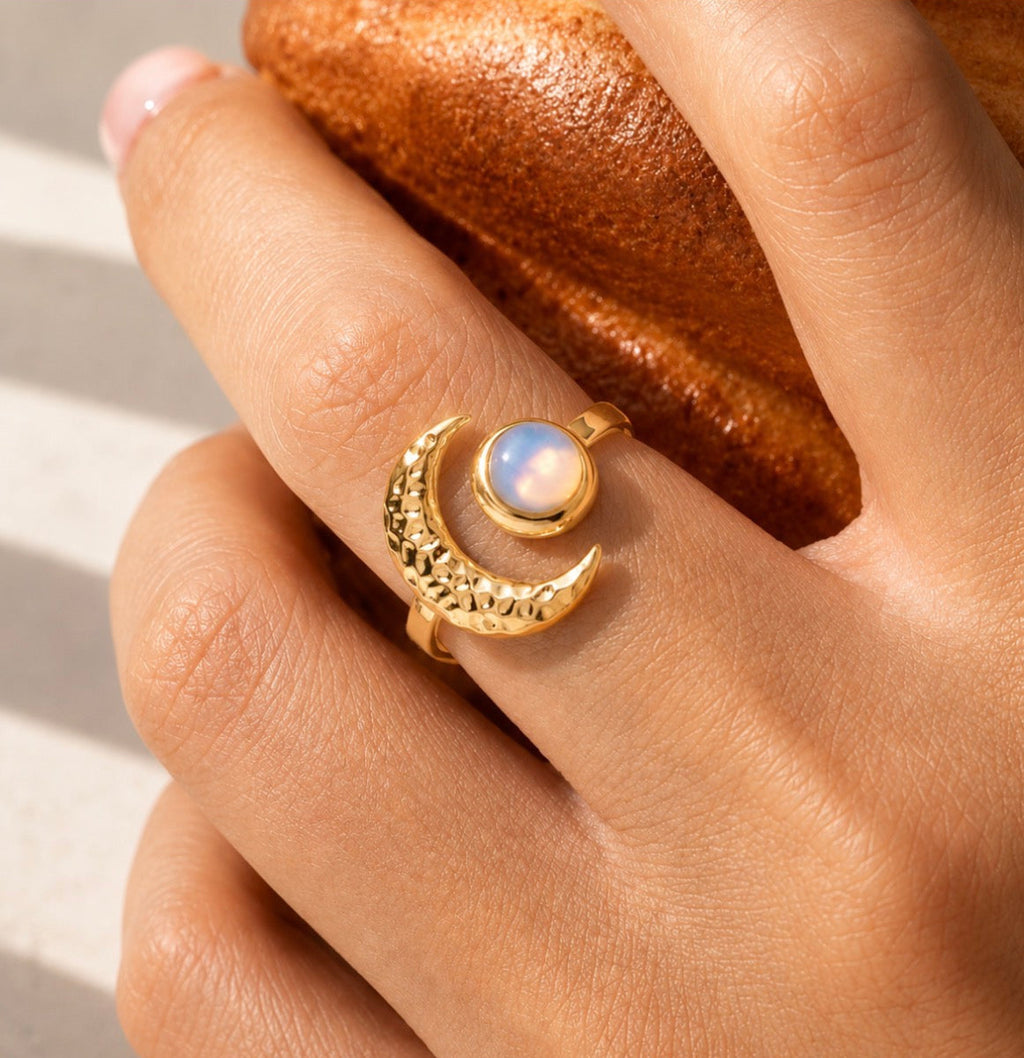 Arlo Ring
