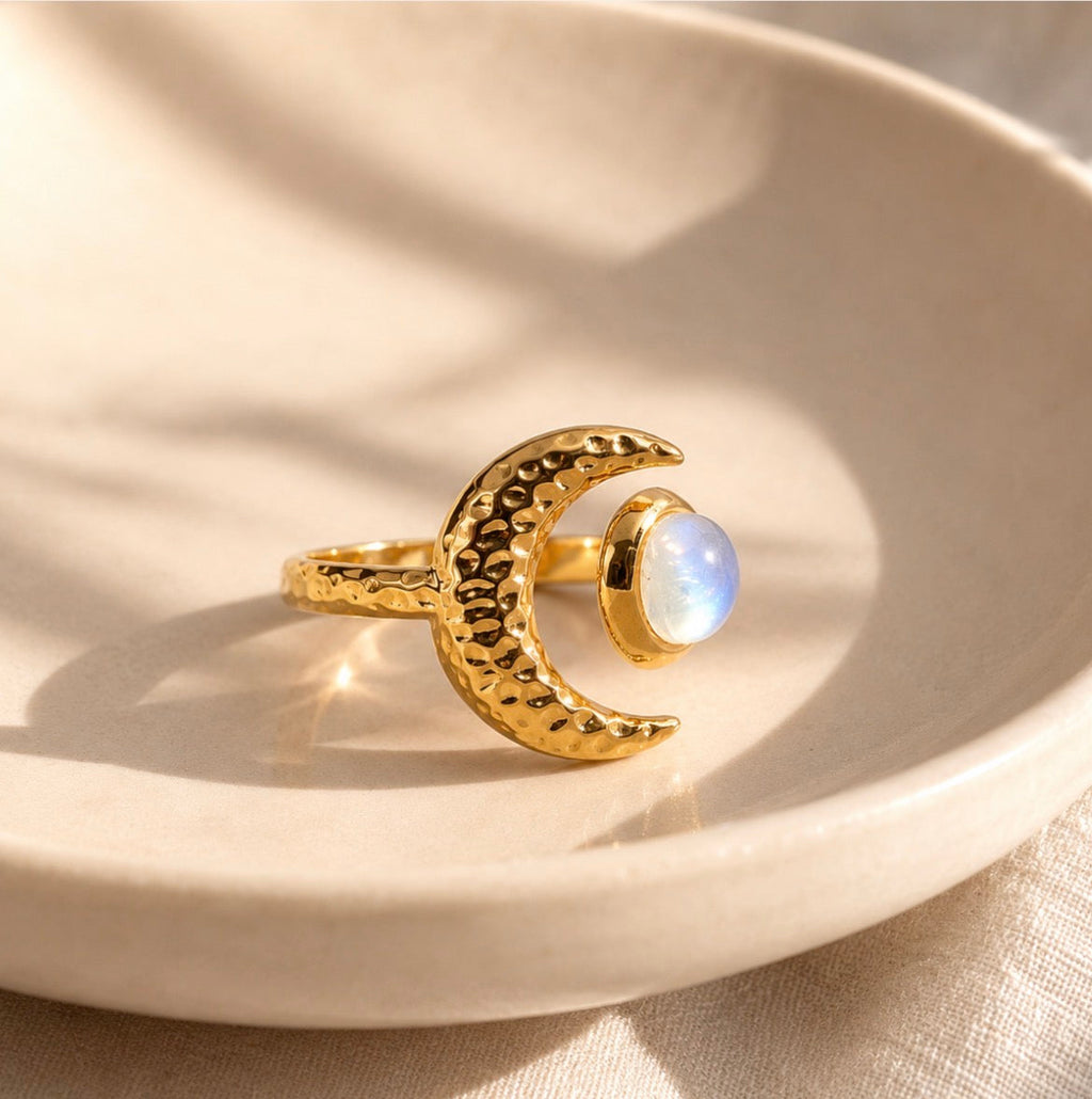 Arlo Ring