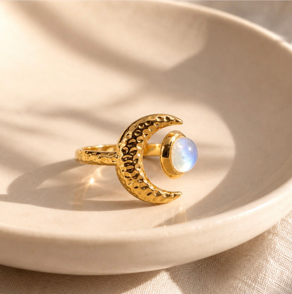 Arlo Ring